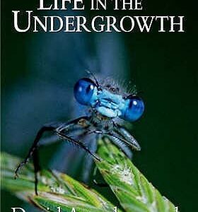 Buy Life in the Undergrowth book by David Attenborough at low price online in India
