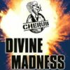 Buy Divine Madness by Robert Muchamore at low price online in India