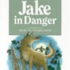 Buy Story Book- Jake In Danger by Annette Butterworth at low price online in India